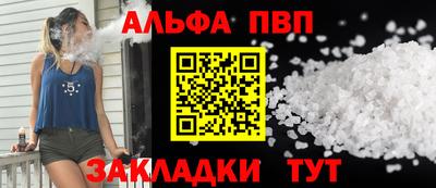 СК Кингисепп