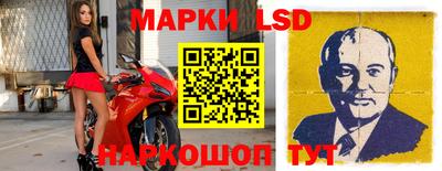СК Кингисепп