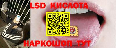СК Кингисепп