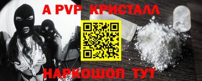 СК Кингисепп