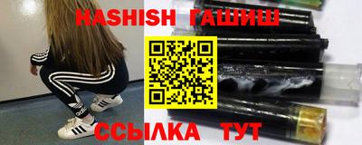 СК Кингисепп